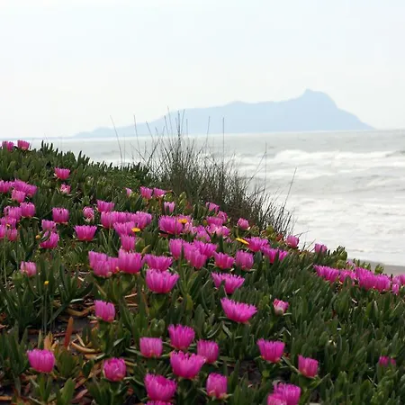 Bed & Breakfast La Chiocciola Rosa Centro *